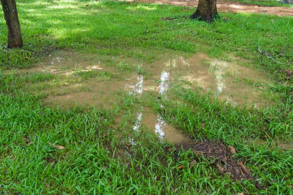 Cost of Storm Water Drainage Service in Hagerstown