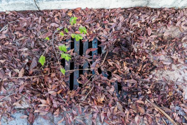 Cost of Yard Drain Unclogging in Hagerstown
