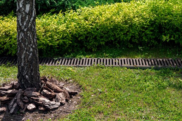 Cost of Wet Yard Drainage in Hagerstown