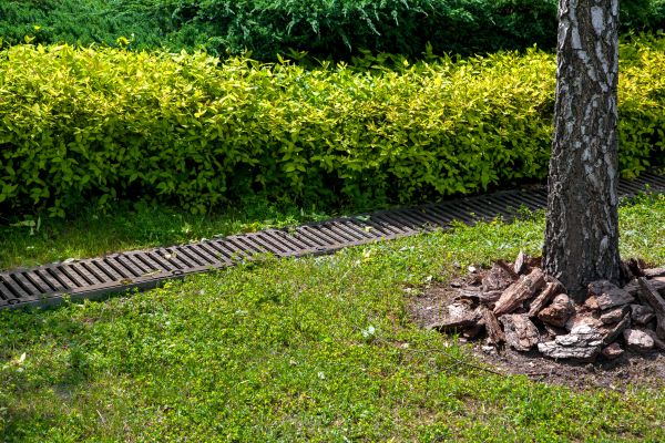 Cost of Residential Landscape Drainage in Hagerstown