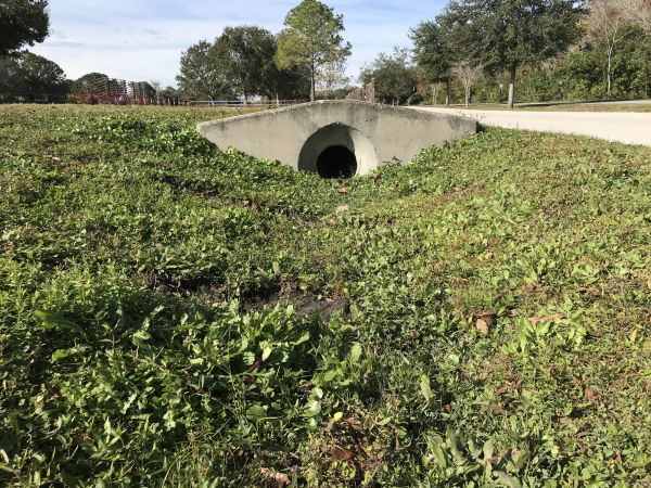 Cost of Swale Drainage Service in Hagerstown